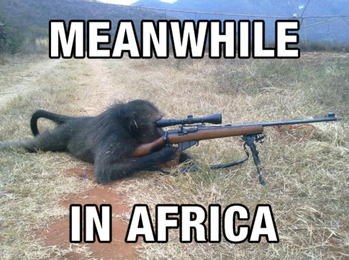 Mientras tanto en África&#8230;