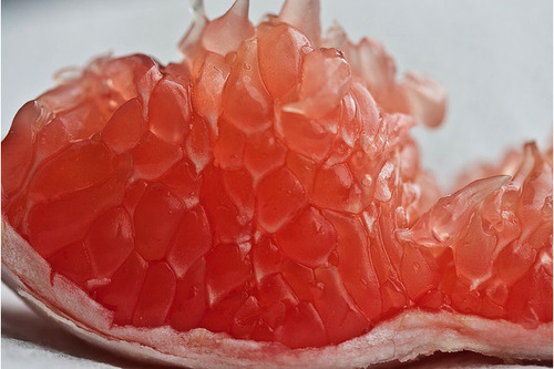 http://imgsoup.com/1/pink-grapefruit-tumblr/