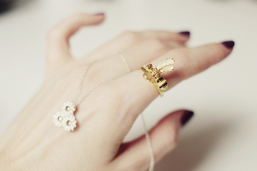 ♥ Rings ♥