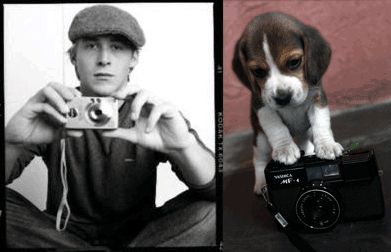  
Who’s cuter, Ryan or a Puppy?
Reblog your choice
