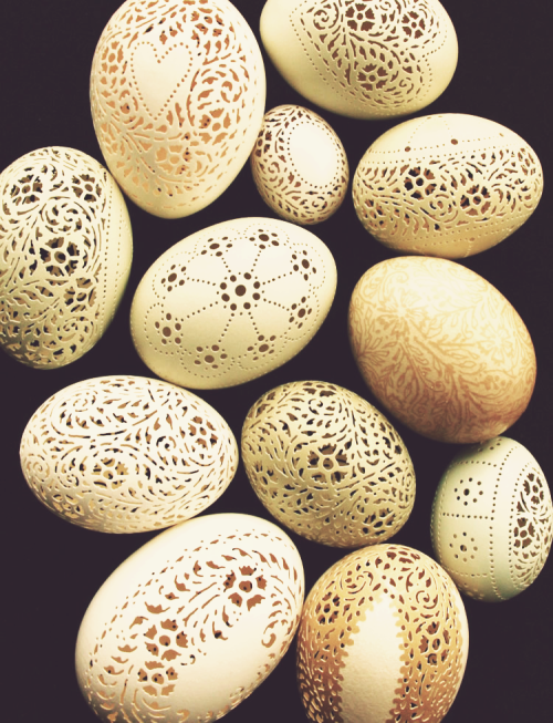 thevintaquarian:

Beth Magnuson hand carved designs on delicate goose eggs
