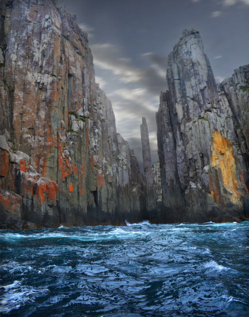 dittotheflamingoes:

Tasman Island, Tasmania
