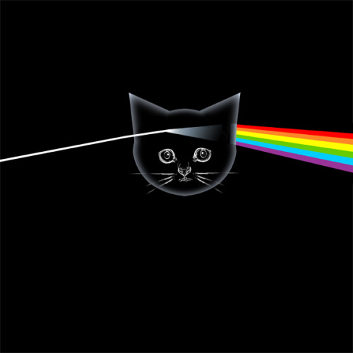 Kitten Floyd - The Dark Side of the Meow