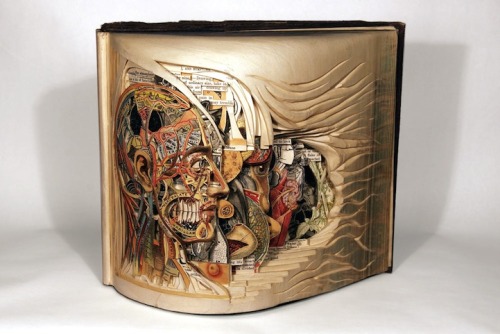 Brian Dettmer&#8217;s surgical book sculptures, meticulously carved into vintage volumes and hand-cut one page at a time.