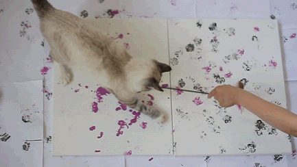 The Artist Cat!!!<br /><br />
=^.^=</p><br />
<p>vidagatuna:</p><br />
<p>El gato pintor…..esto sí que es arte felino<br /><br />
