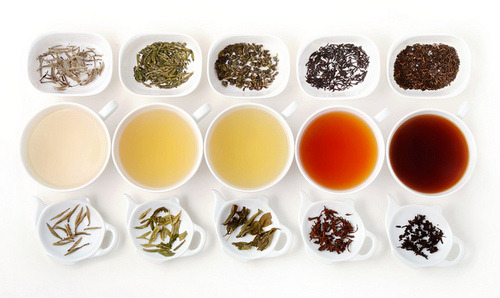nix-pixiestix:

Studies have found that some teas may help with cancer, heart disease,  and diabetes; encourage weight loss; lower cholesterol; and bring about  mental alertness. Tea also appears to have antimicrobial qualities.Tea is a name given to a lot of brews, but purists consider only  green tea, black tea, white tea, oolong tea, and pu-erh tea the real  thing. They are all derived from the Camellia sinensis plant, a  shrub native to China and India, and contain unique antioxidants called  flavonoids. The most potent of these, known as ECGC, may help against  free radicals that can contribute to cancer, heart disease, and clogged  arteries.
All these teas also have caffeine and theanine, which affect the brain and seem to heighten mental alertness.
The more processed the tea leaves, usually the less polyphenol  content. Polyphenols include flavonoids. Oolong and black teas are  oxidized or fermented, so they have lower concentrations of polyphenols  than green tea; but their antioxidizing power is still high.
Here’s what some studies have found about the potential health benefits of tea:
 Green tea: Made with steamed tea leaves, it has a high  concentration of EGCG and has been widely studied. Green tea’s  antioxidants may interfere with the growth of bladder, breast, lung,  stomach, pancreatic, and colorectal cancers; prevent clogging of the  arteries, burn fat, counteract oxidative stress on the brain, reduce  risk of neurological disorders like Alzheimer’s and Parkinson’s  diseases, reduce risk of stroke, and improve cholesterol levels.
 Black tea: Made with fermented tea leaves, black tea has  the highest caffeine content and forms the basis for flavored teas like  chai, along with some instant teas. Studies have shown that black tea  may protect lungs from damage caused by exposure to cigarette smoke. It  also may reduce the risk of stroke.
 White tea: Uncured and unfermented. One study showed that  white tea has the most potent anticancer properties compared to more  processed teas.
 Oolong tea: In an animal study, those given antioxidants  from oolong tea were found to have lower bad cholesterol levels. One  variety of oolong, Wuyi, is heavily marketed as a weight loss  supplement, but science hasn’t backed the claims.
 Pu-erh tea: Made from fermented and aged leaves.  Considered a black tea, its leaves are pressed into cakes. One animal  study showed that animals given pu-erh had less weight gain and reduced  LDL cholesterol.
