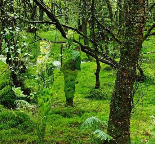 
Next time you find yourself walking in the forests of Scotland, look for mirrored people.Located on the woodland walk at the David Marshall Lodge, “Vestige” is an art installation created by Rob Mulholland. A contemporary sculptor and installation artist based in Scotland, he had originally intended for the six mirrored people (three women and three men) to be temporary. Hikers passing through the forest enjoyed the displays so much however, that it has now become a permanent art installation for all to enjoy.
The vision behind the art is twofold: 1) to create a vestige of the people who once occupied the land until World War I, when they were re-located while forests were planted to generate timber and; 2) to make people “reflect” upon man’s impact on nature.