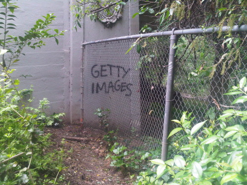 Graffiti of Getty Images Watermark photography Jerry Hsu Nazi Gold 