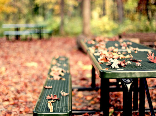 throwing-needles:

That Was Autumn by kala_murie on Flickr.
