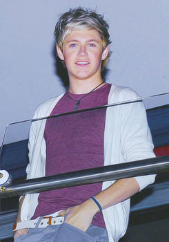 niallatemylunch:

He is absolutely perfect
