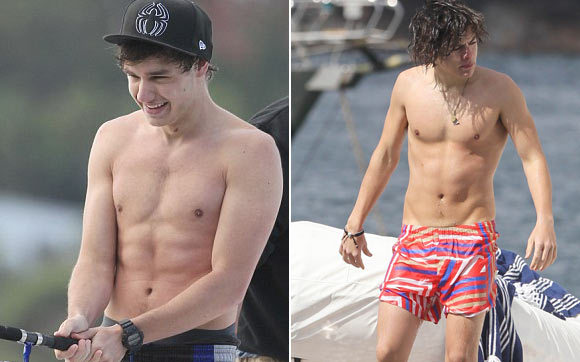 WHO IS BETTER SHIRTLESS Liam Payne or Harry Style