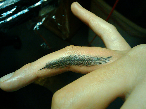 tattoo feather. 1 year ago; tattoofeather