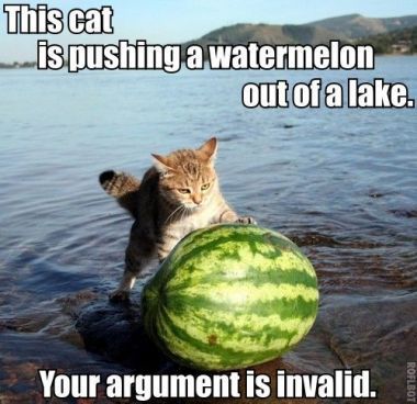 Cat pushing melon