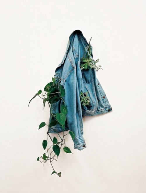 Plants on jacket