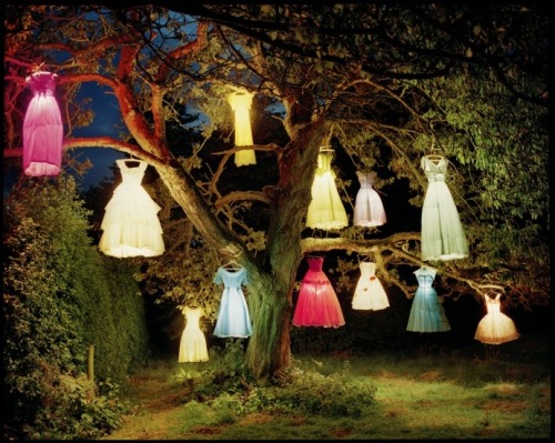 &#8220;The Dress/Lamp Tree&#8221; Tim Walker
