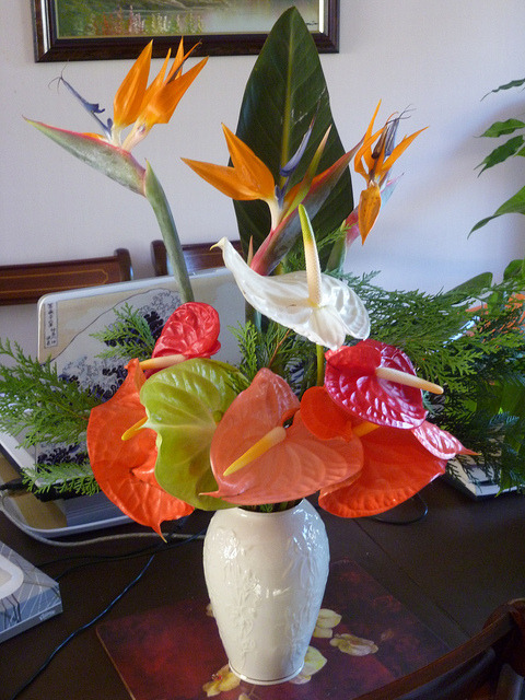 Flowers on Flickr.Via Flickr:
I am a boss at flower arranging.