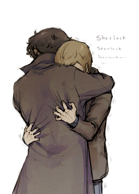 hokkahoka: I am still in Reichenbach depression, and I just want a hug in S3. (;___ ;) Then John can punch Sherlock all he wants. 