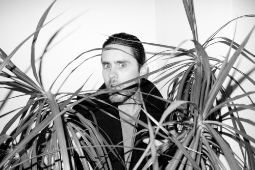 Jared Leto behind a plant #1